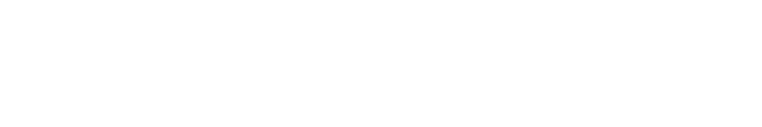 Flowpro logo vit